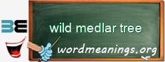 WordMeaning blackboard for wild medlar tree